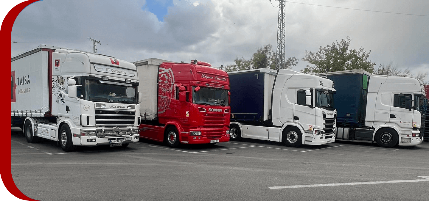 translopez-servicios Nuestros servicios